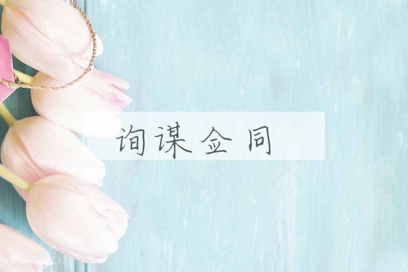 成语询谋佥同是什么意思？