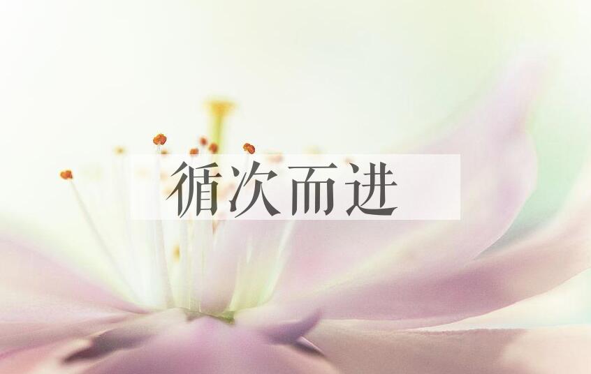 成语循次而进是什么意思？