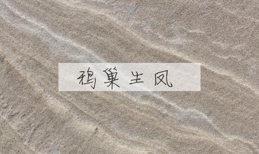 成语鸦巢生凤是什么意思？