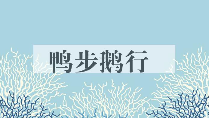 成语鸭步鹅行是什么意思？