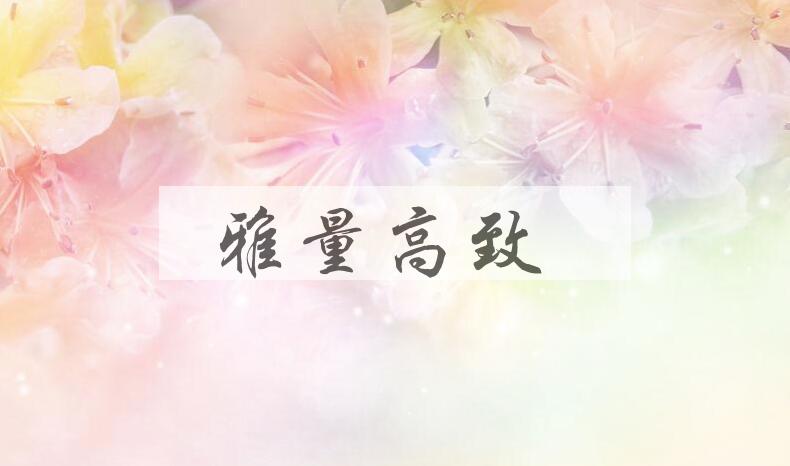 成语雅量高致是什么意思？
