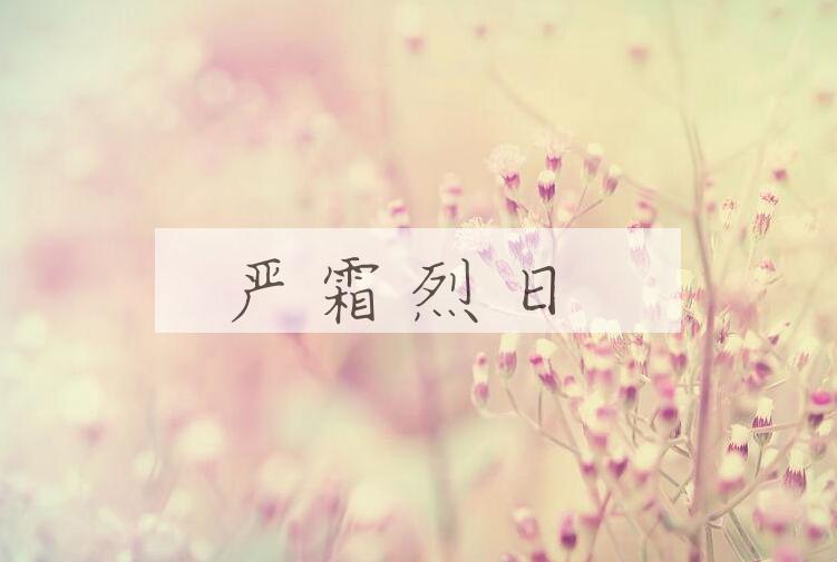 成语严霜烈日是什么意思？