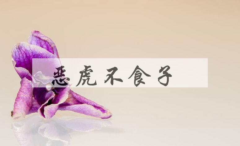 成语恶虎不食子是什么意思？