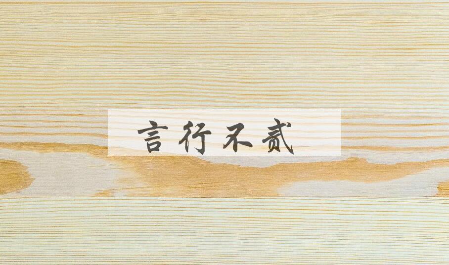成语言行不贰是什么意思？
