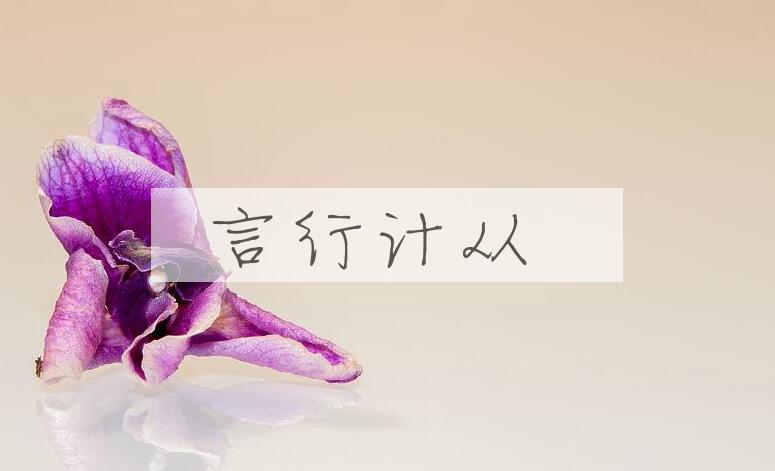 成语言行计从是什么意思？