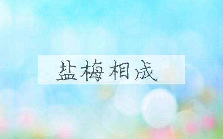 成语盐梅相成是什么意思？