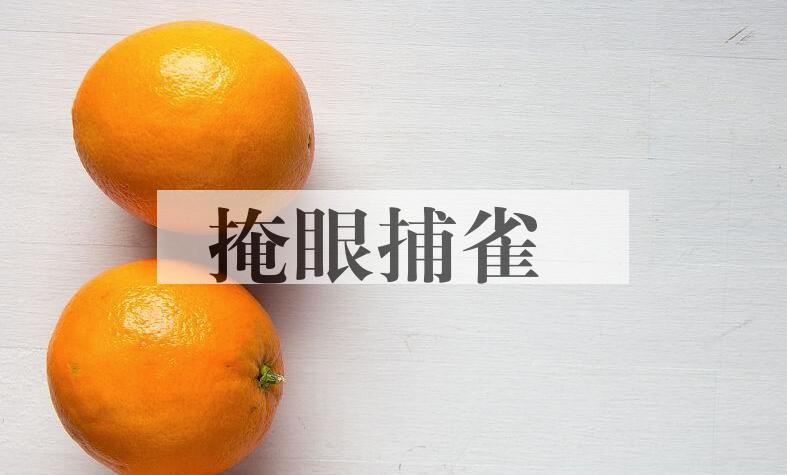 成语掩眼捕雀是什么意思？