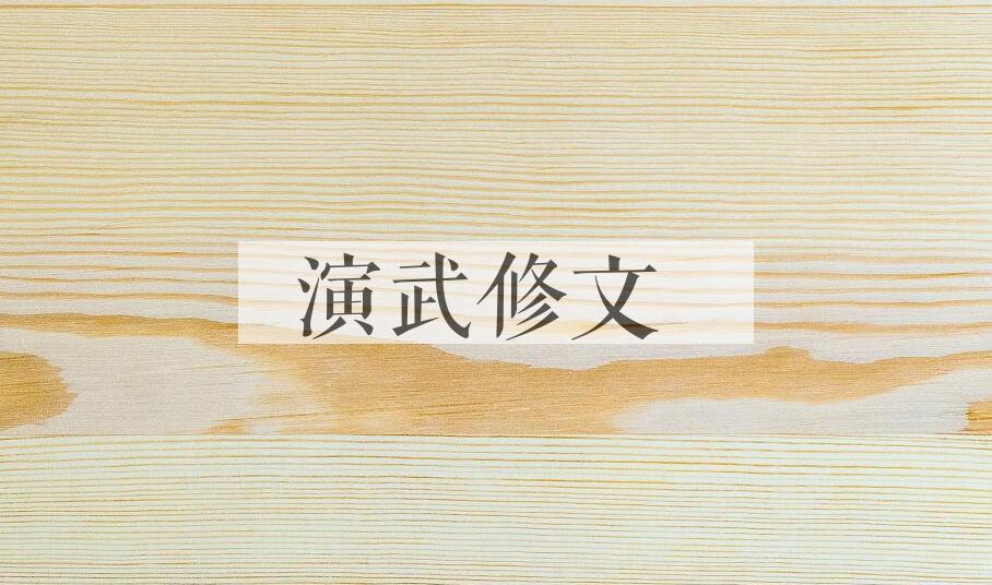 成语演武修文是什么意思？