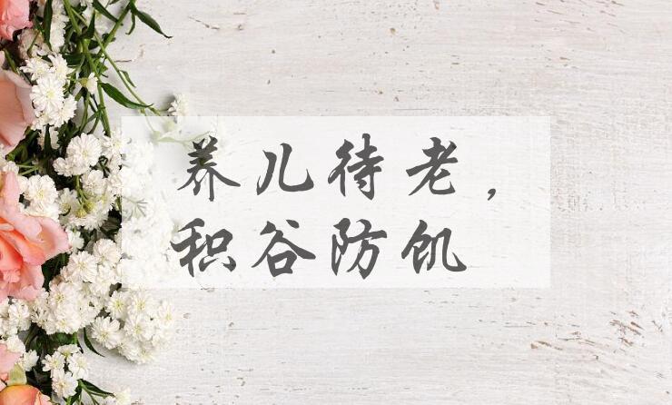 成语养儿待老，积谷防饥是什么意思？