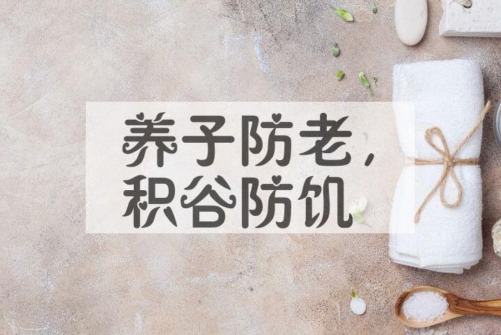 成语养子防老，积谷防饥是什么意思？