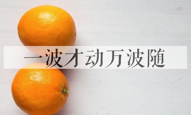 成语一波才动万波随是什么意思？