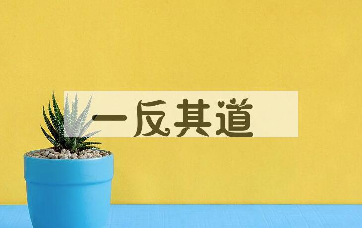 成语一反其道是什么意思？