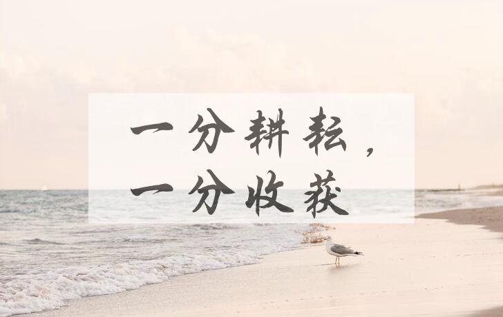 成语一分耕耘，一分收获是什么意思？