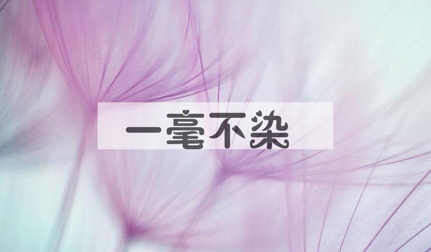 成语一毫不染是什么意思？