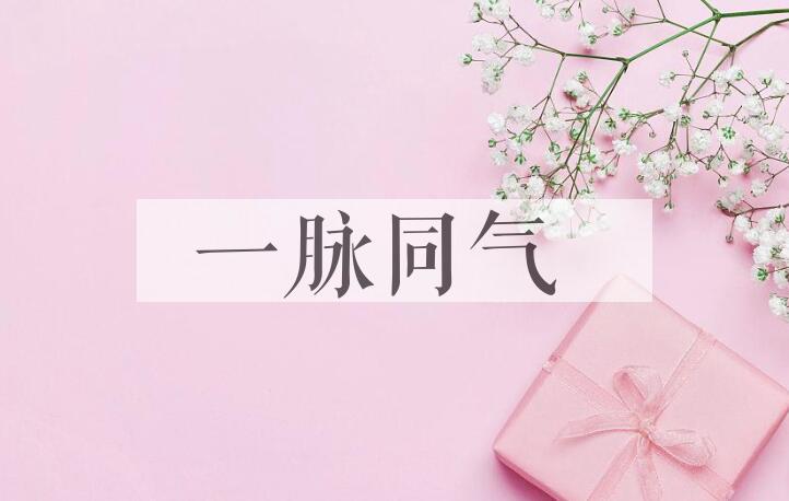 成语一脉同气是什么意思？