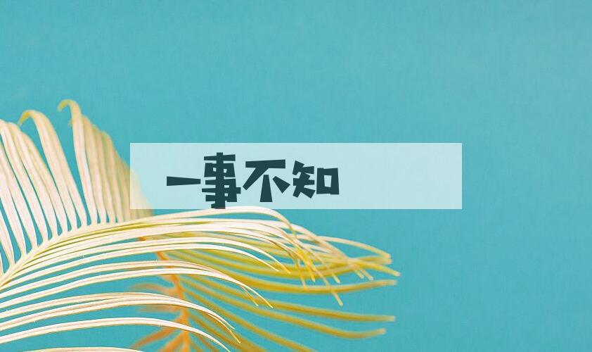 成语一事不知是什么意思？