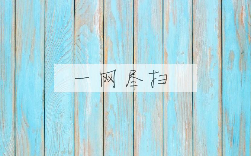 成语一网尽扫是什么意思？