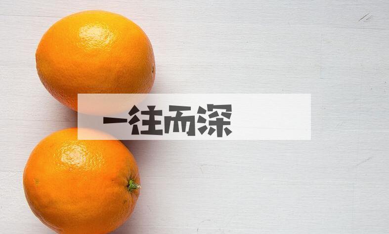 成语一往而深是什么意思？