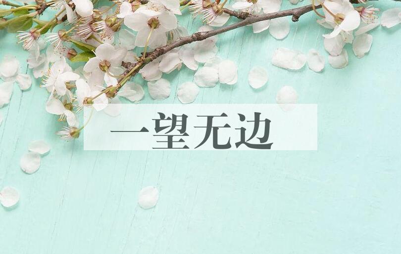 成语一望无边是什么意思？