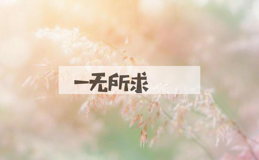 成语一无所求是什么意思？