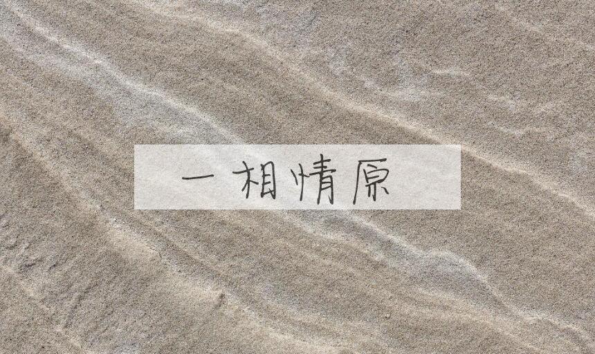 成语一相情原是什么意思？