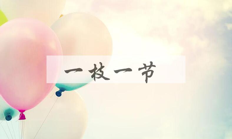 成语一枝一节是什么意思？