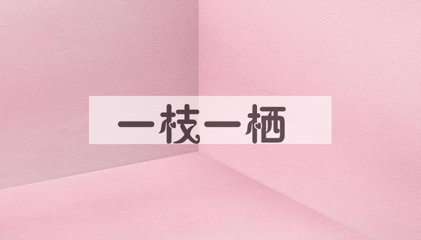 成语一枝一栖是什么意思？