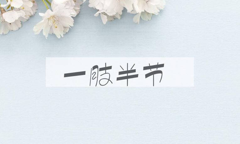 成语一肢半节是什么意思？