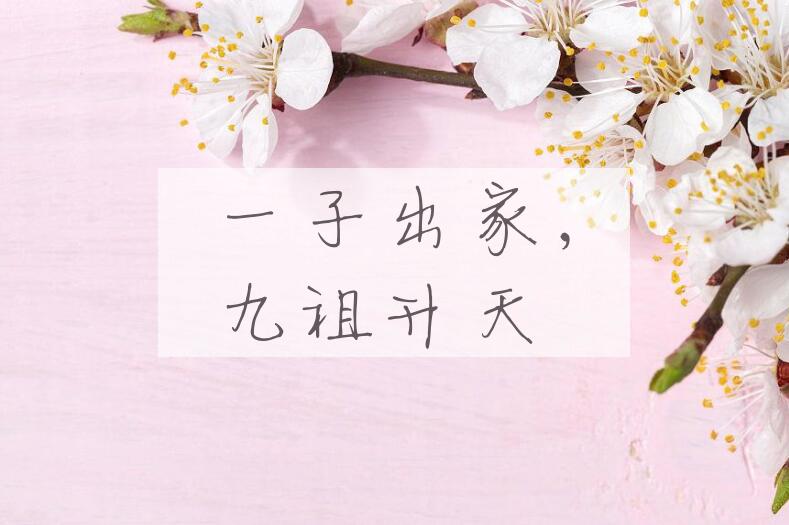成语一子出家，九祖升天是什么意思？