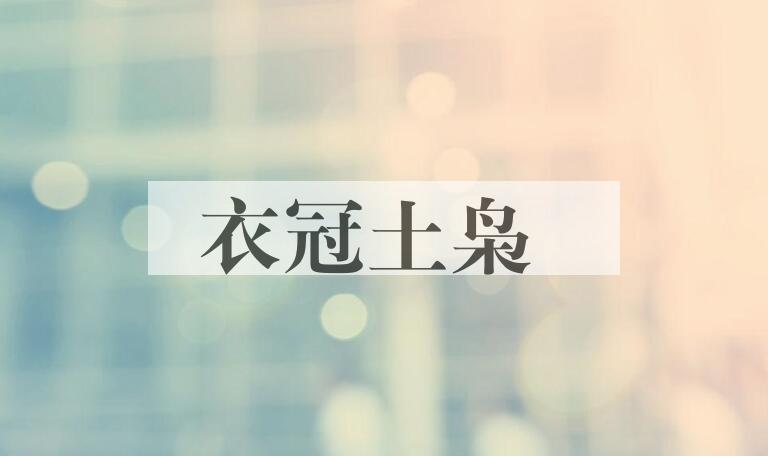 成语衣冠土枭是什么意思？