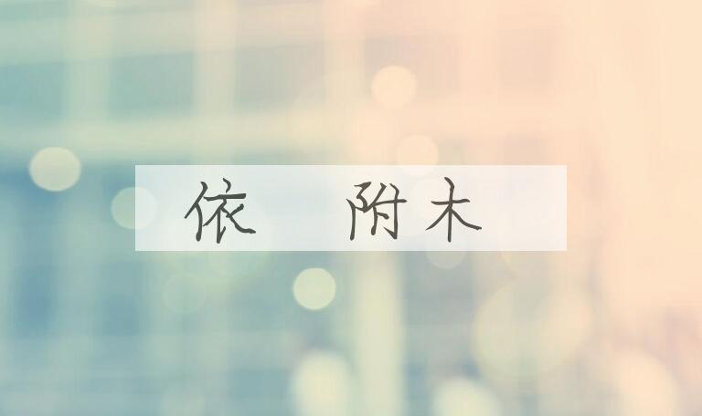 成语依乷附木是什么意思？