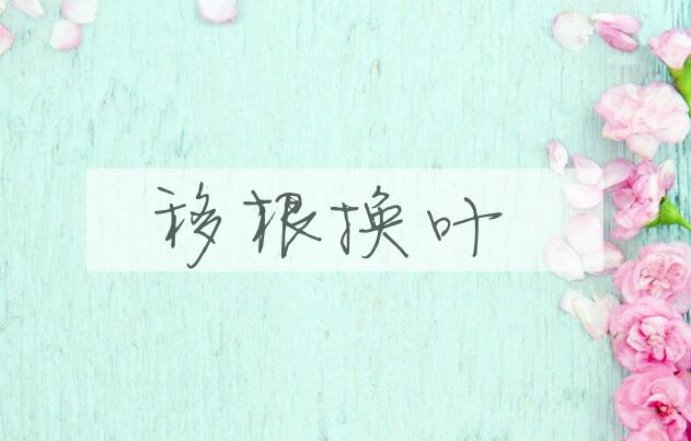 成语移根换叶是什么意思？
