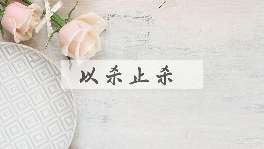 成语以杀止杀是什么意思？