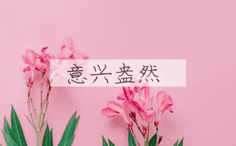 成语意兴盎然是什么意思？