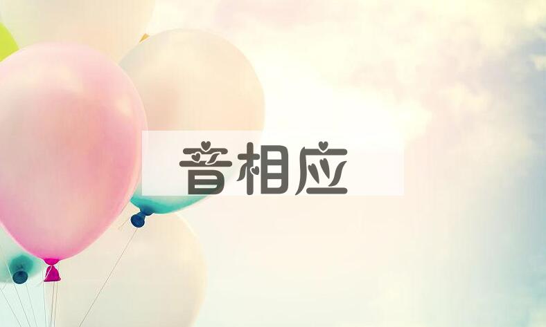 成语音相应是什么意思？