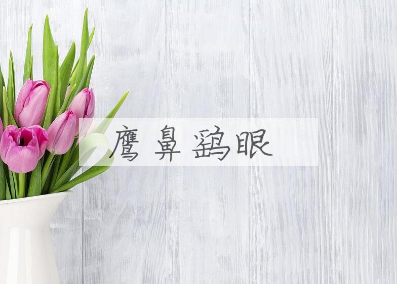 成语鹰鼻鹞眼是什么意思？