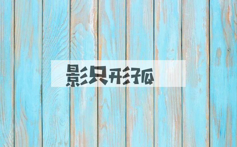 成语影只形孤是什么意思？