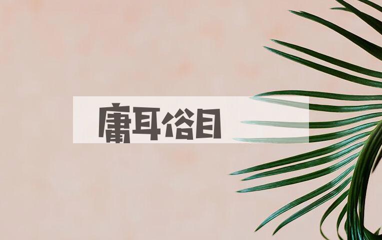 成语庸耳俗目是什么意思？