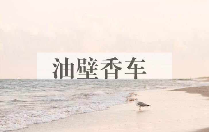 成语油壁香车是什么意思？