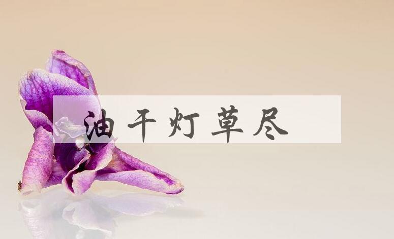 成语油干灯草尽是什么意思？