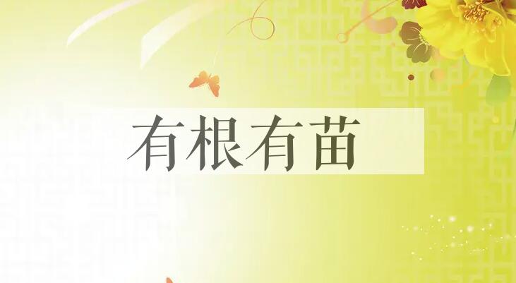 成语有根有苗是什么意思？