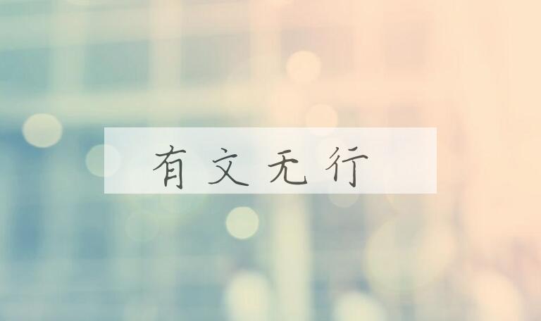 成语有文无行是什么意思？