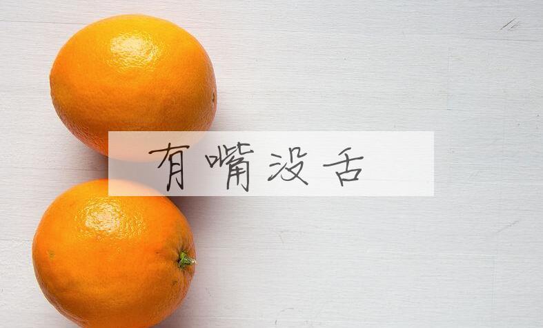 成语有嘴没舌是什么意思？