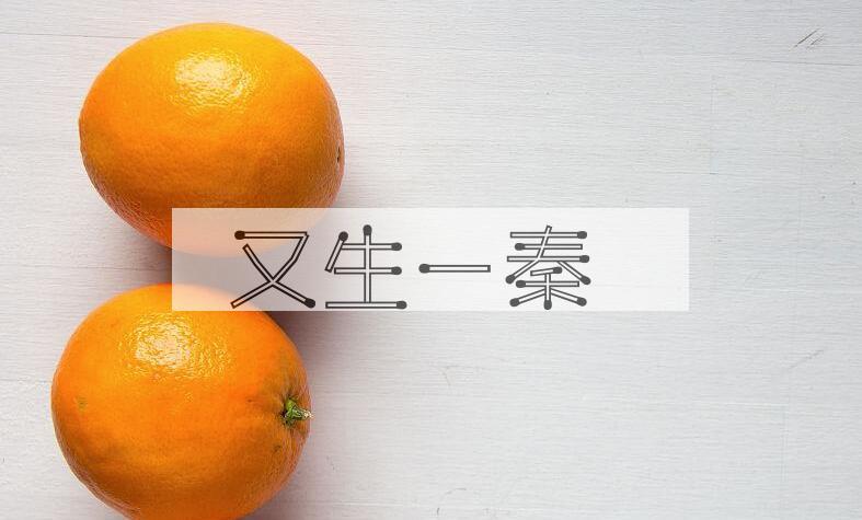 成语又生一秦是什么意思？
