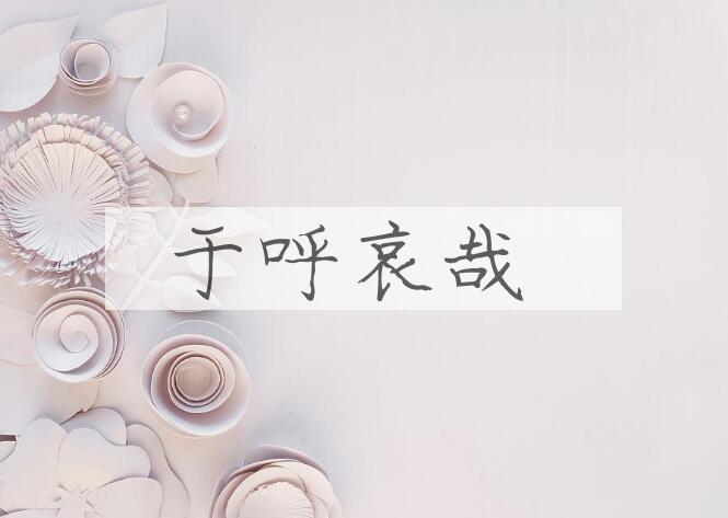 成语于呼哀哉是什么意思？