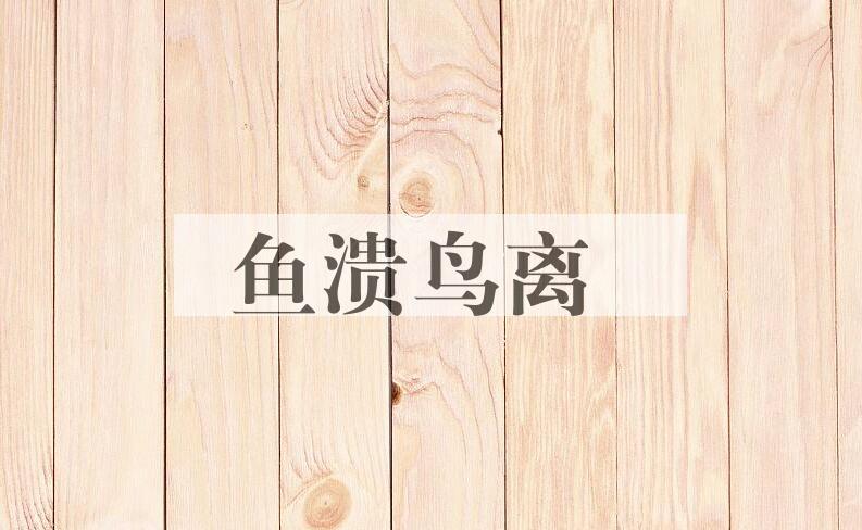成语鱼溃鸟离是什么意思？