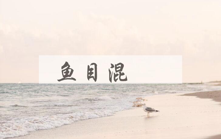 成语鱼目混珎是什么意思？