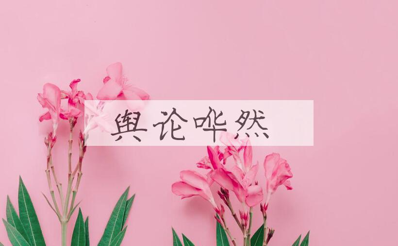 成语舆论哗然是什么意思？