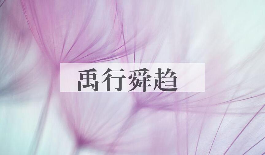 成语禹行舜趋是什么意思？