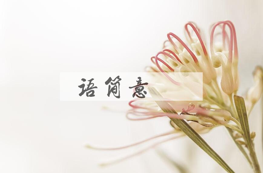 成语语简意赅是什么意思？
